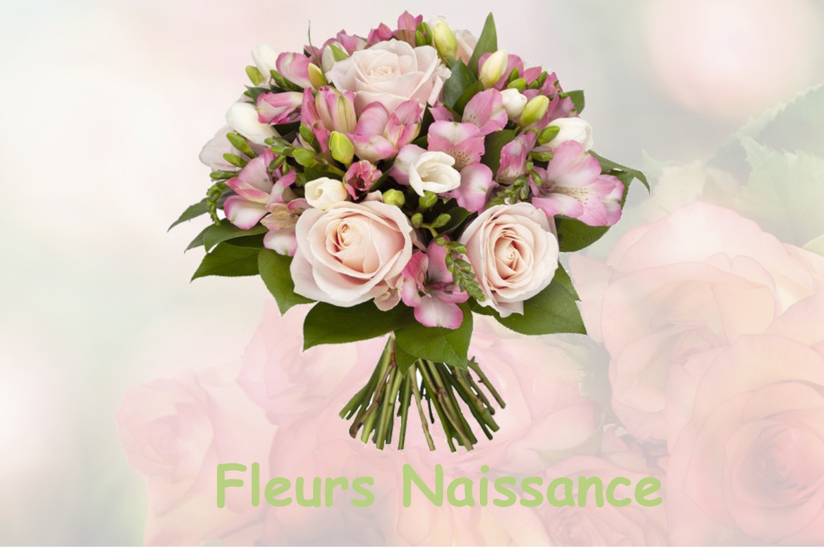 fleurs naissance BRASSEMPOUY