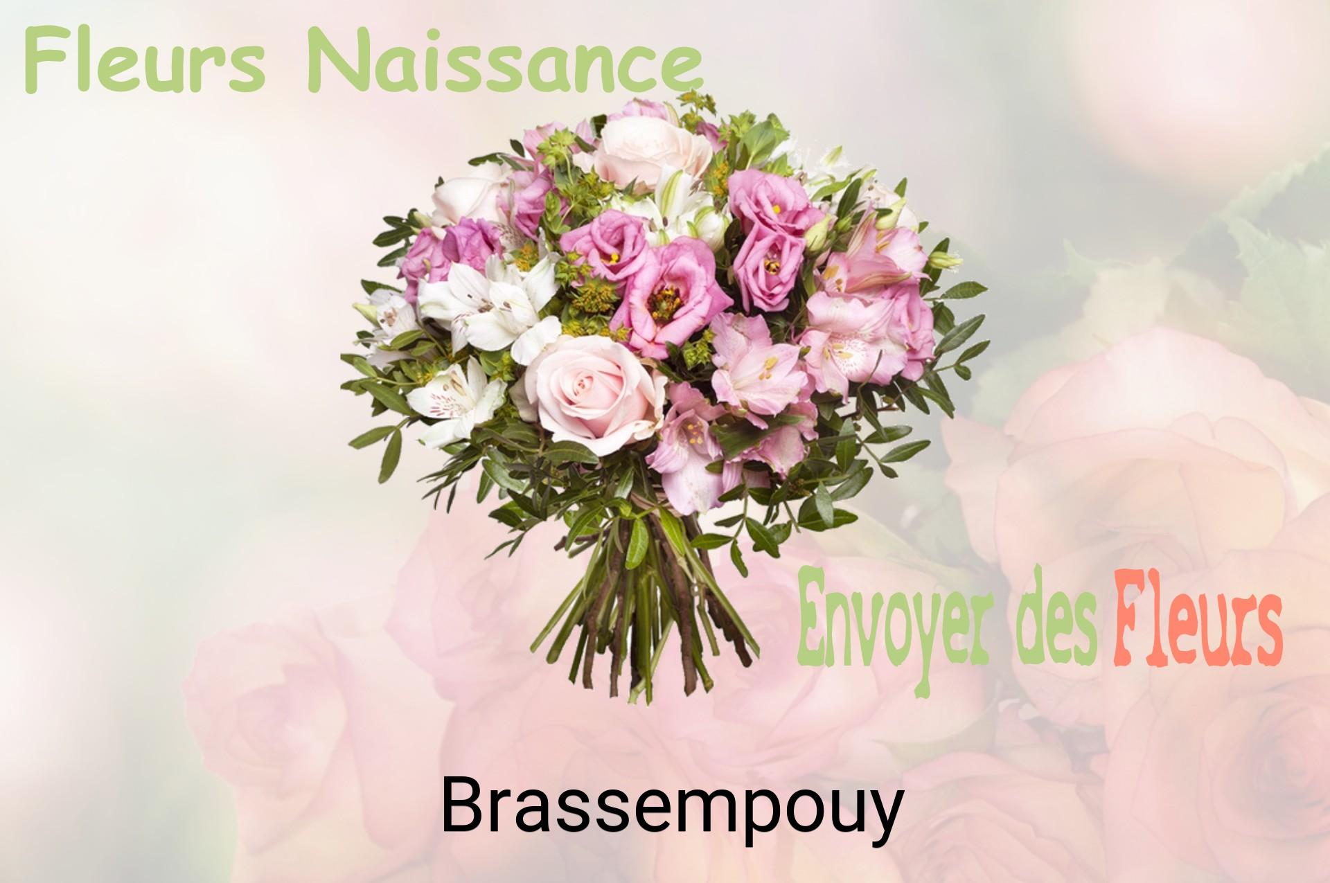 Bouquet de fleurs de naissance livré à Brassempouy