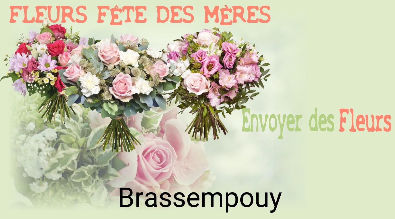 Bouquet de Fête des Mères livré à Brassempouy