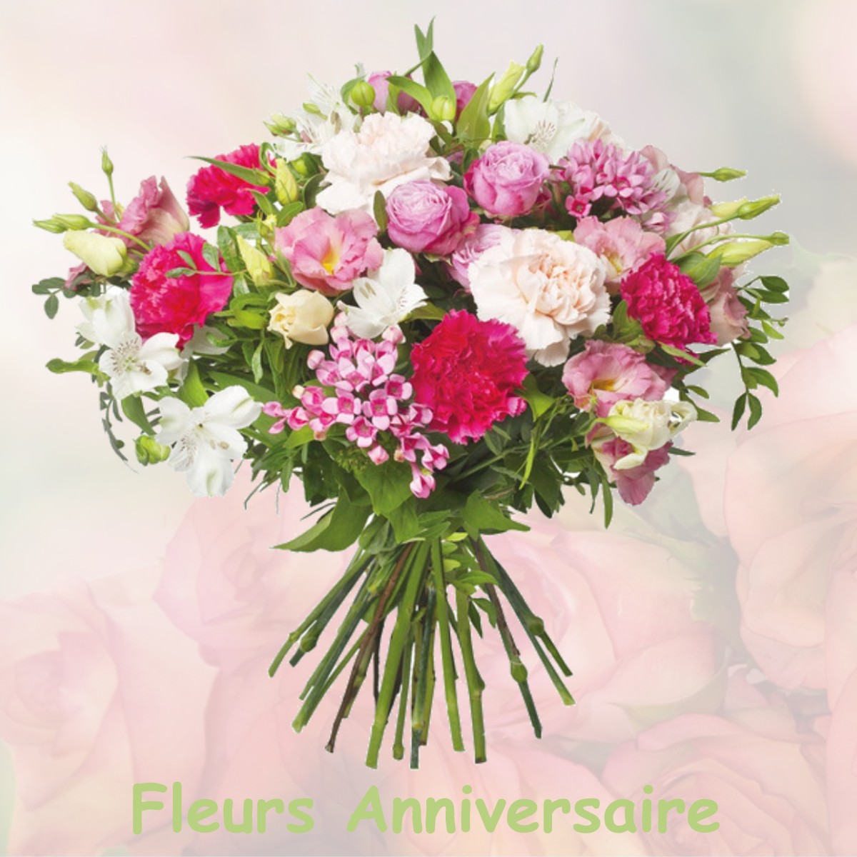 fleurs anniversaire BRASSEMPOUY