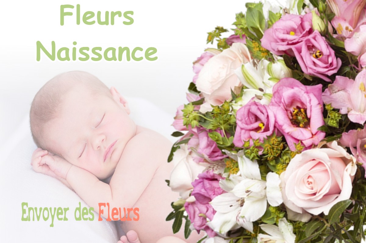 lIVRAISON FLEURS NAISSANCE à BRASSEMPOUY