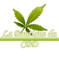 LA BOUTIQUE DU CBD BRASSEMPOUY 